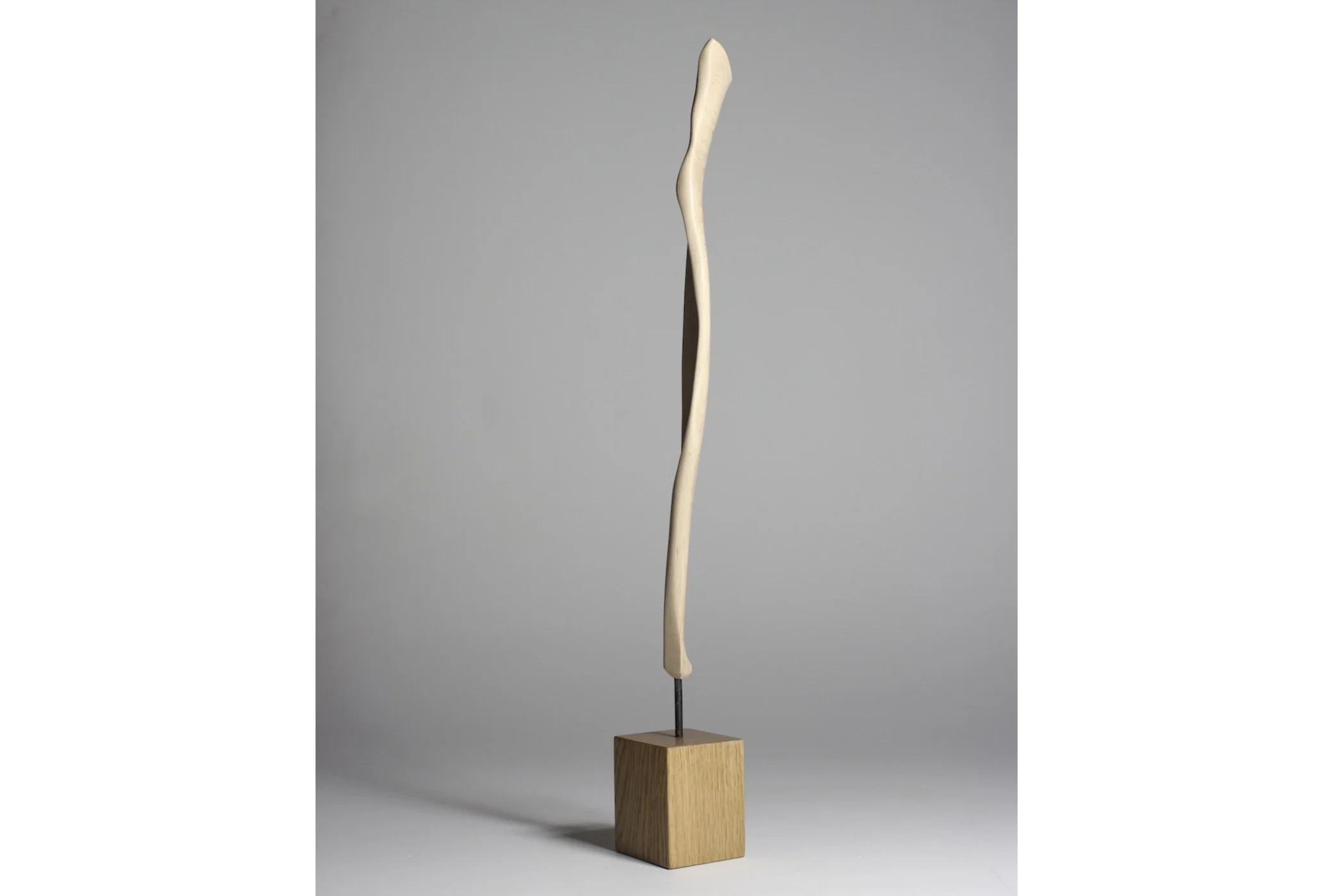 Screenshot 2023-02-06 at 9.00.10 AM.jpeg