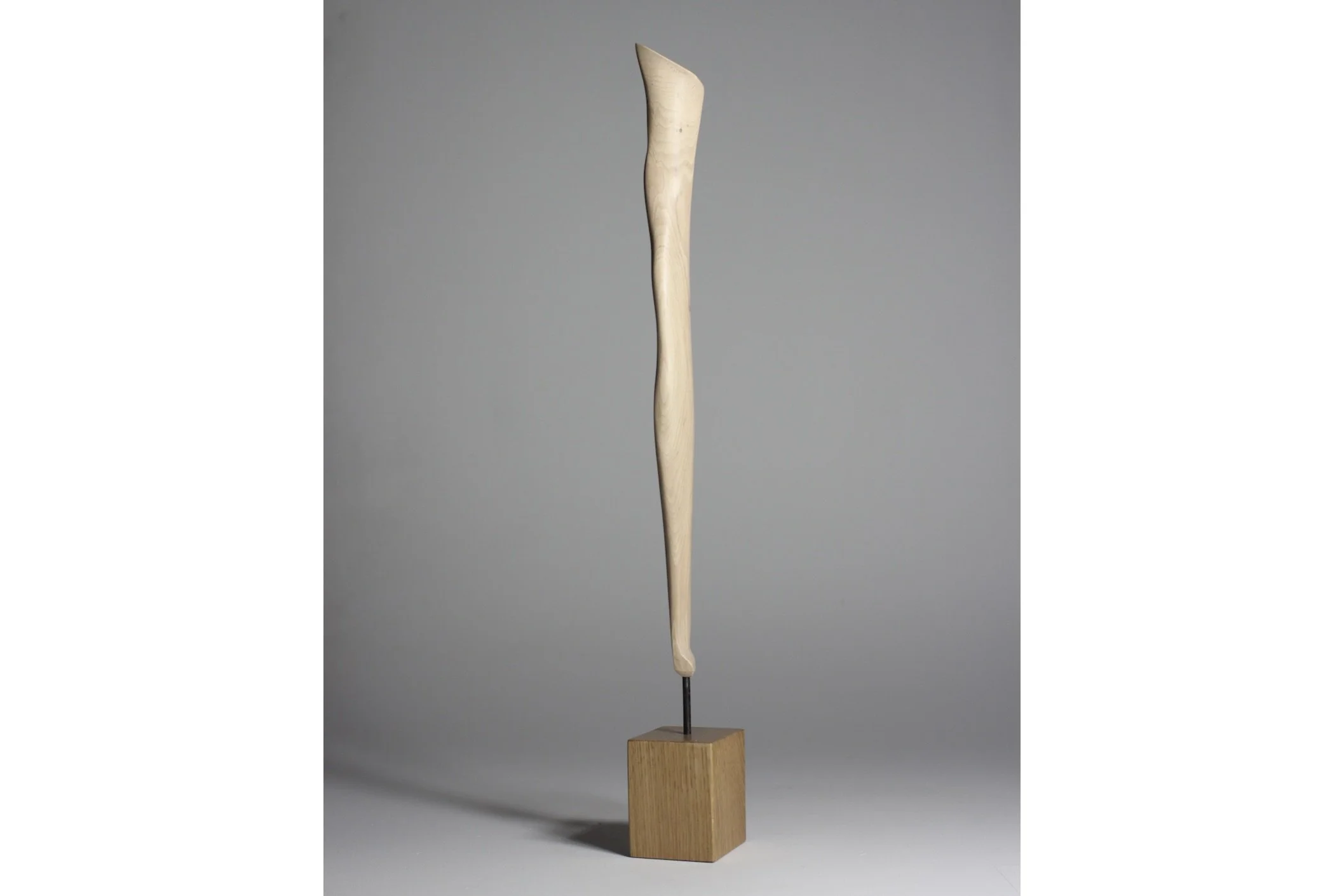 Screenshot 2023-02-06 at 9.00.19 AM.jpeg