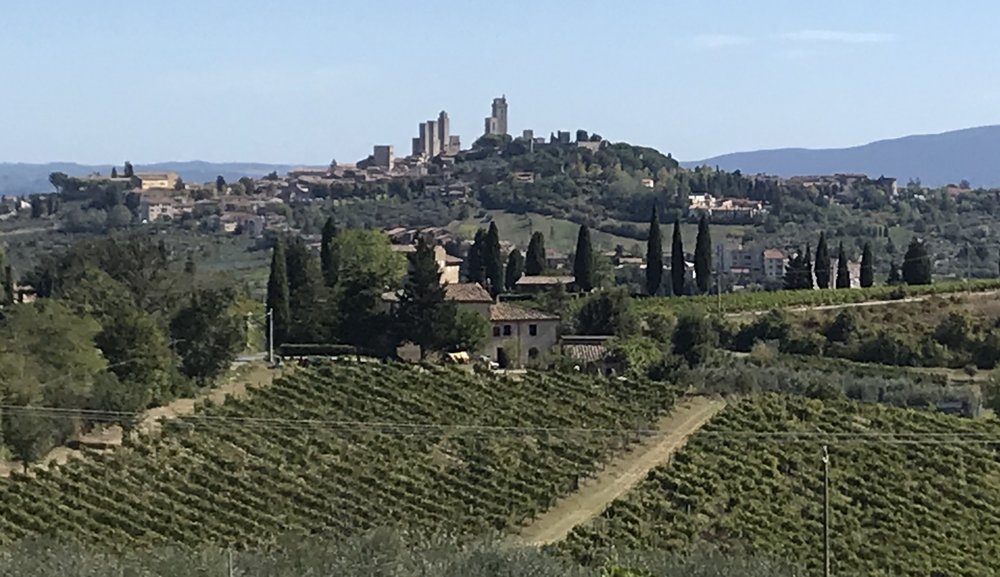  We took a long walk to get this shot of San Gimignano in the distance. We wished there were walking paths, since we had to share the road with cars and trucks. I don’t know how anyone has the stomach to bike these hills, but we saw plenty of cyclist