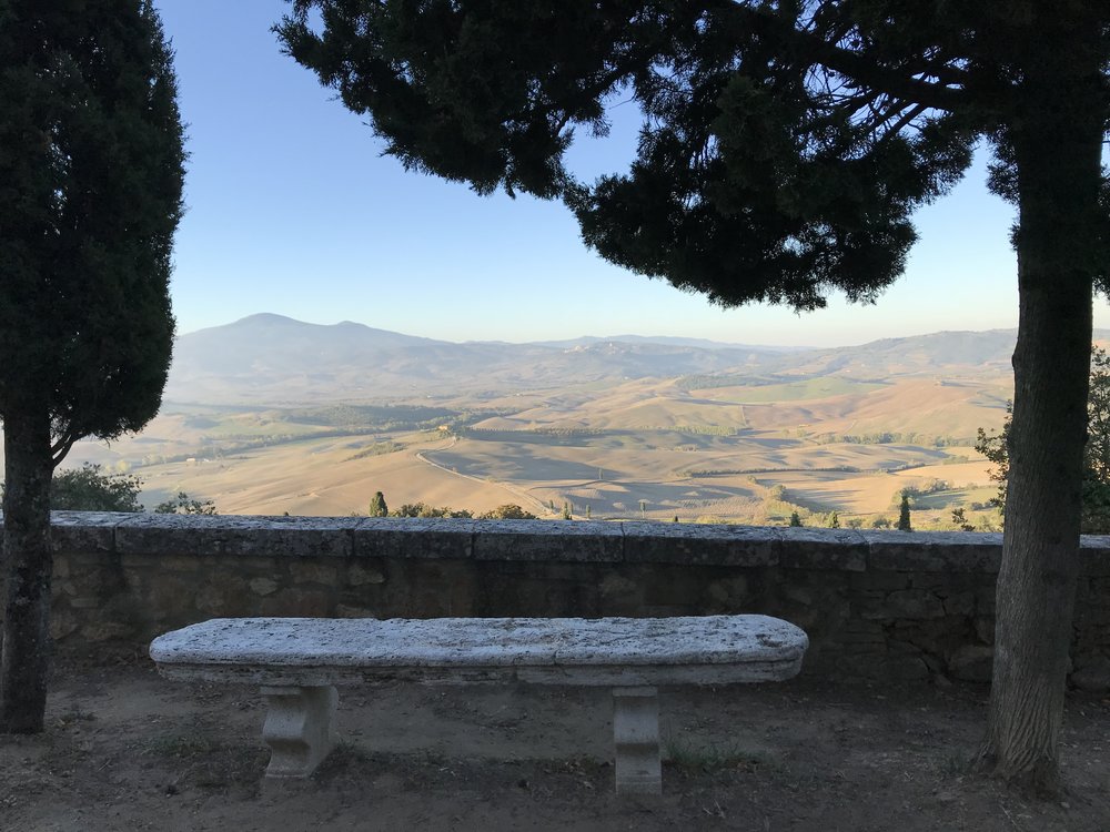  A bench with a view. 