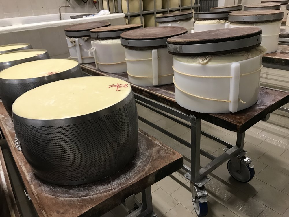  Each wheel of cheese, called a baby, is lovingly swaddled in muslin, and periodically unwrapped and re-swaddled so it stays round. The wheel is stamped with the date it’s produced, so the owner can keep careful track of the age. So I actually got to