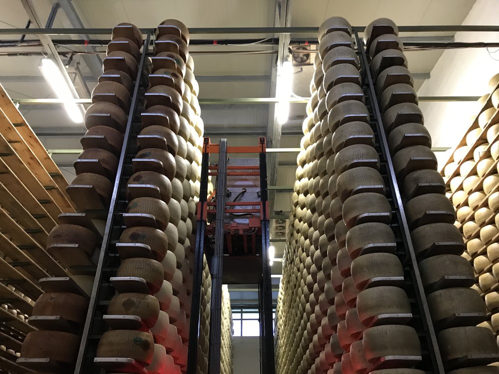  A robot is used to turn the wheels of cheese that are left to dry on tall shelves. It also dusts the shelves. Very useful.   