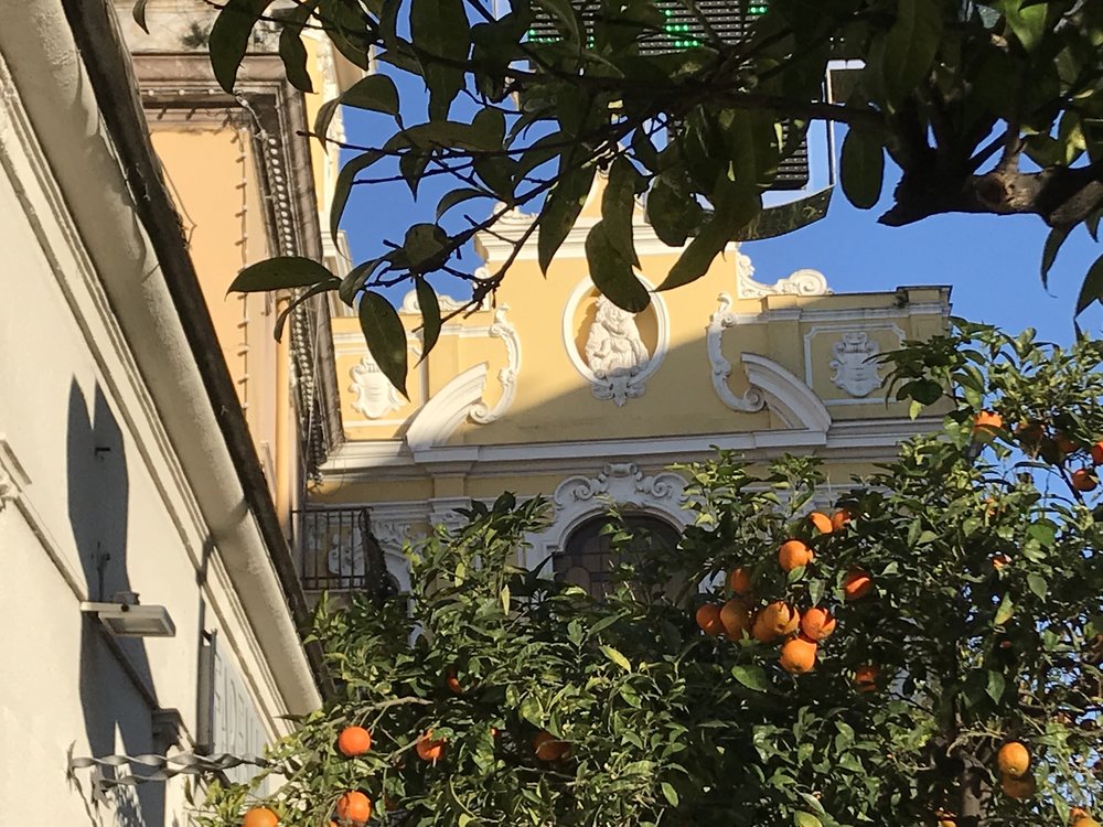  I was in citrus heaven while in Southern Italy. I loved that I could squeeze my own juice for breakfast.  