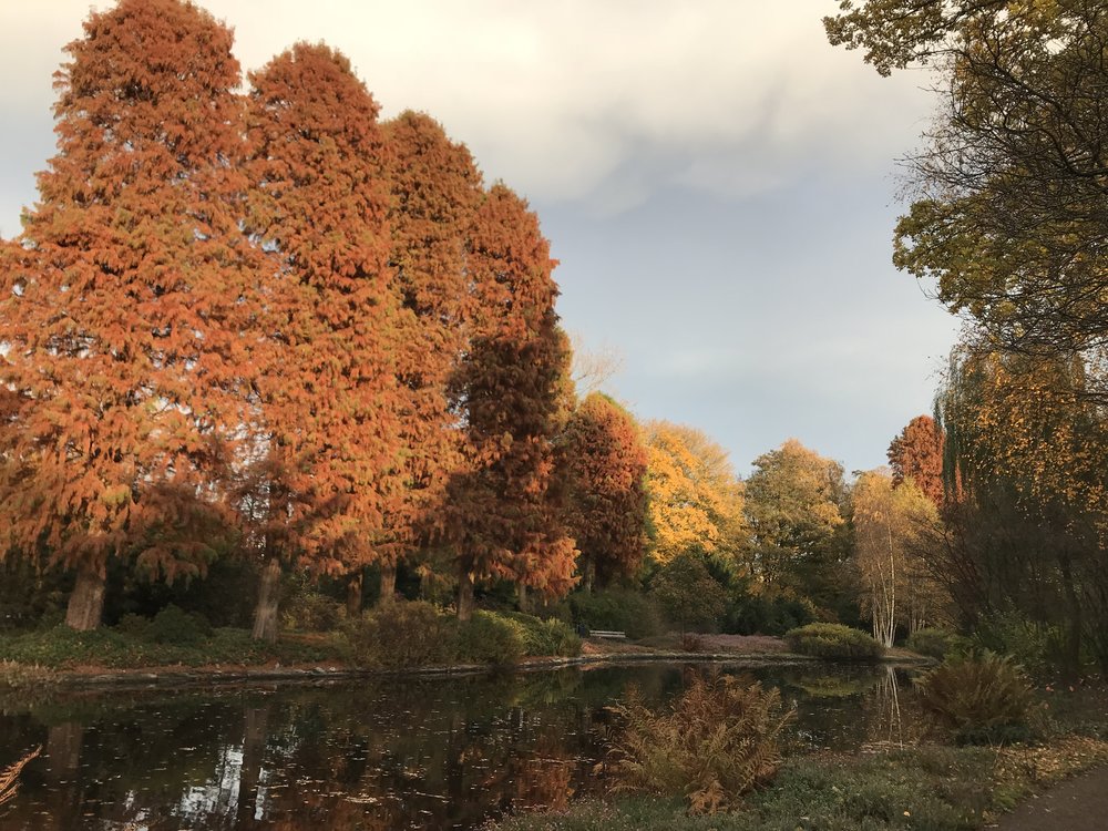  This park,  De Braak , is not actually in Amsterdam. It’s in neighboring Amstelveen. I caught it in all its splendor one day this Fall. Don’t miss this park. 