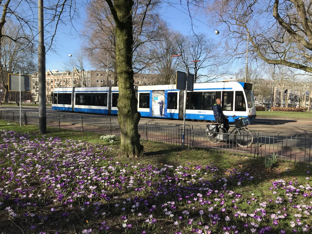  I caught up with an explosion of crocuses in  Frederik Hendrikplantsoen  on a crazy late winter afternoon when spring came unexpectedly early.  