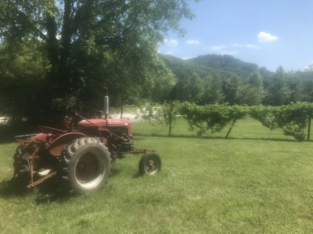  Every Saturday in June and July, I headed to  Green Door Farm  in Nashville to pick up the flower share Ben and Rachel gave me for Mother’s Day. That was the best Mother’s Day gift ever. I got beautiful flowers every week, and the excuse to visit th