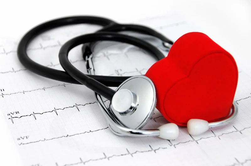 02_01_srce_V.jpg