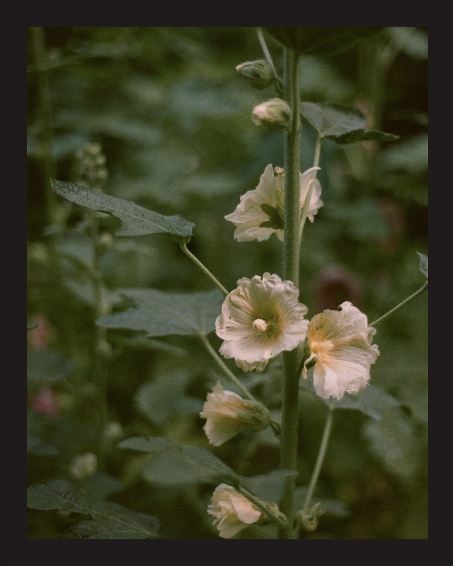 Screenshot 2026-03-26 at 10.46.44 PM.png