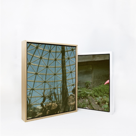 Screenshot 2026-03-26 at 10.15.48 PM.png