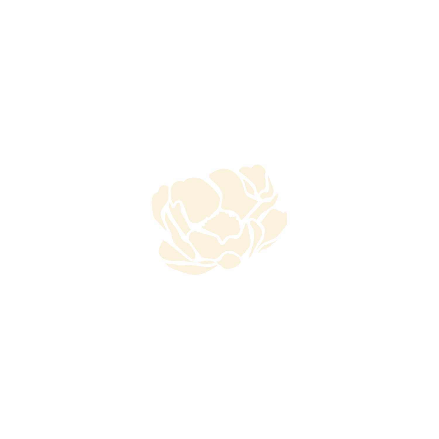 Illustration of a peony blossom