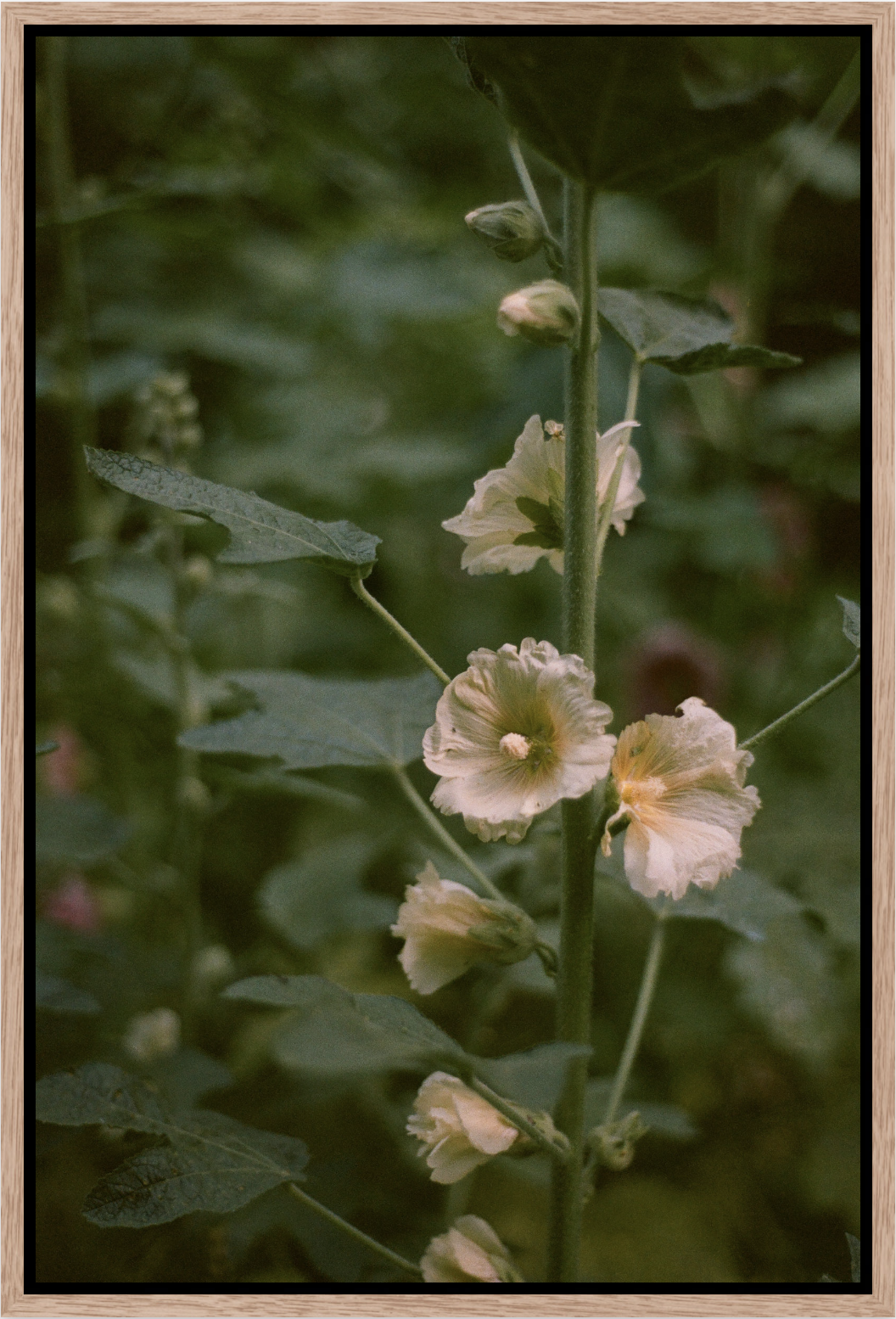 Screenshot 2026-03-26 at 10.19.42 PM.png