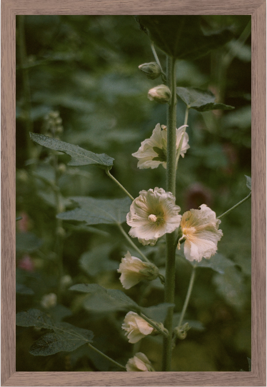 Screenshot 2026-03-26 at 10.20.36 PM.png