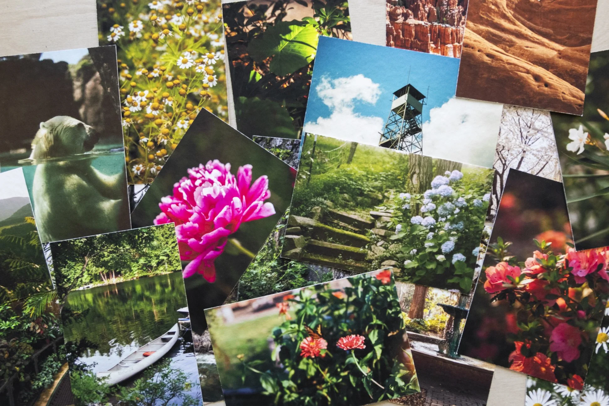 printclubpromo-1.jpg