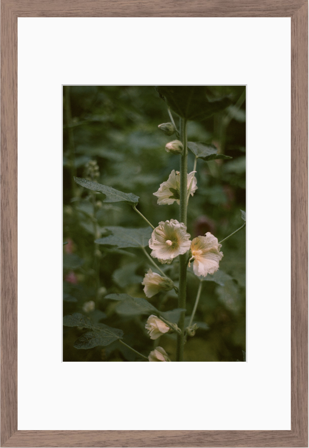 Screenshot 2026-03-26 at 10.20.22 PM.png