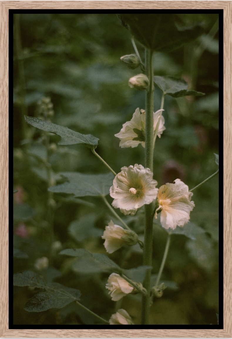 Screenshot 2026-03-26 at 11.01.04 PM.png