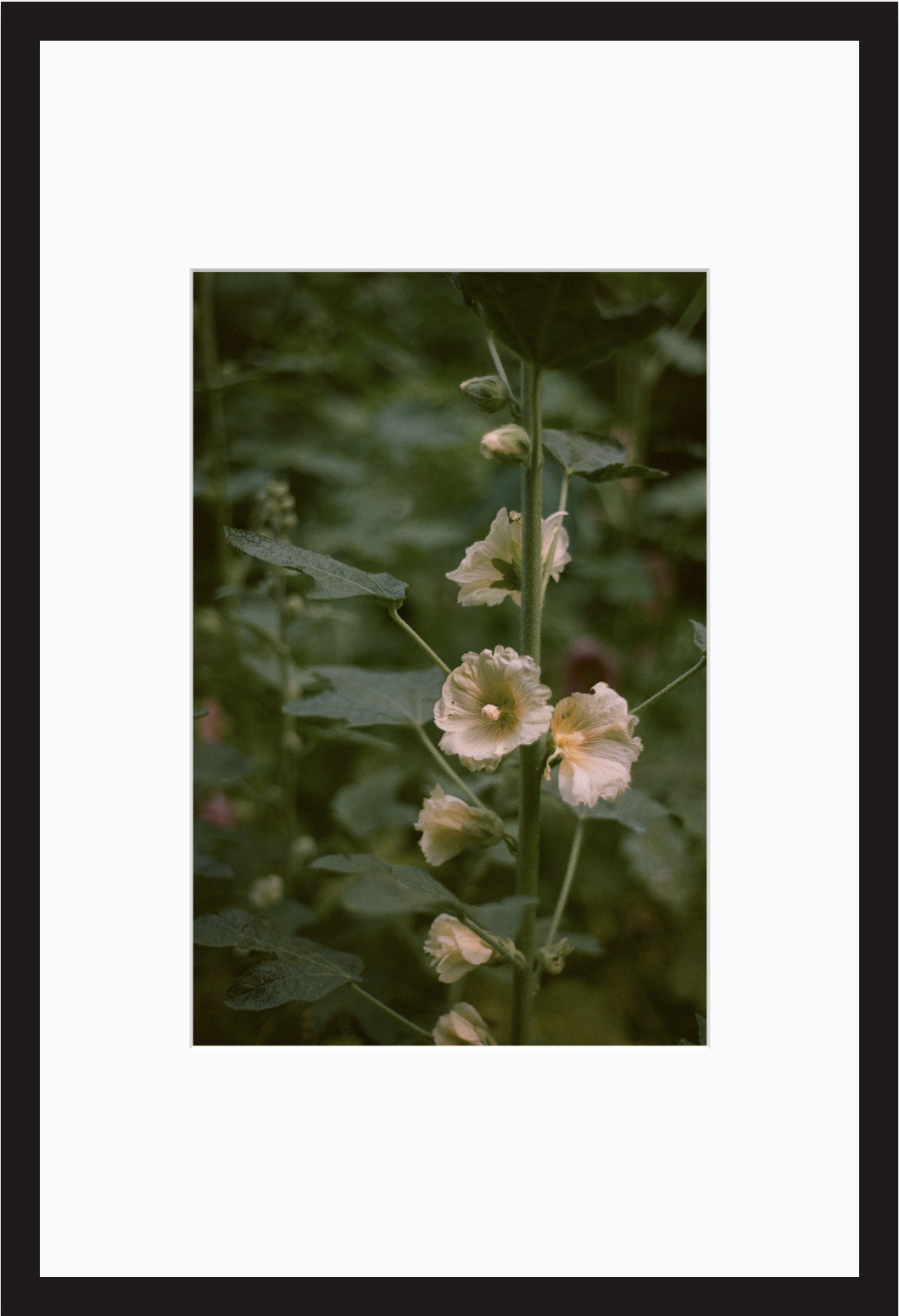 Screenshot 2026-03-26 at 10.19.11 PM.png