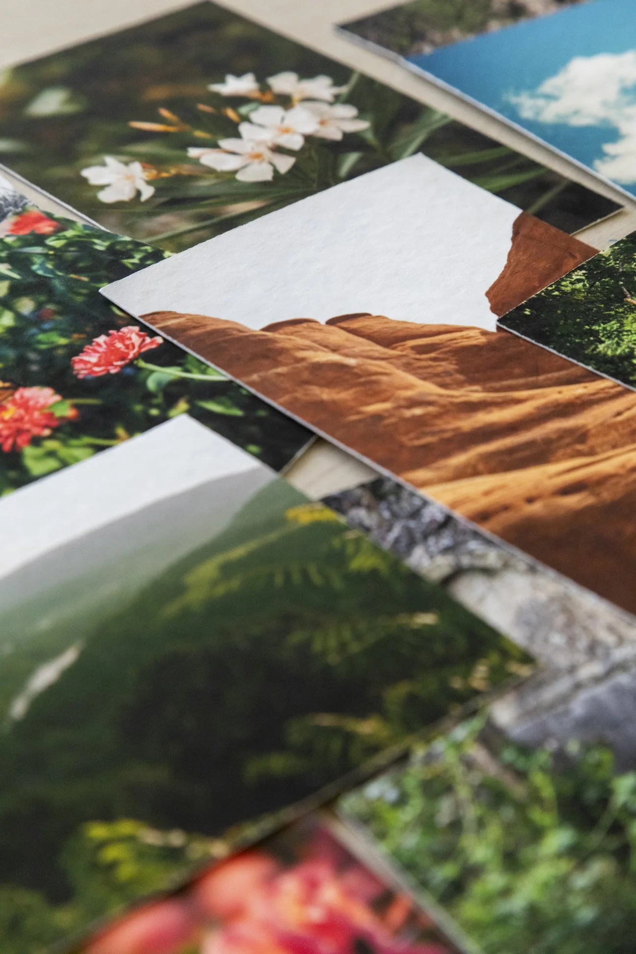 printclubpromo-8.jpg