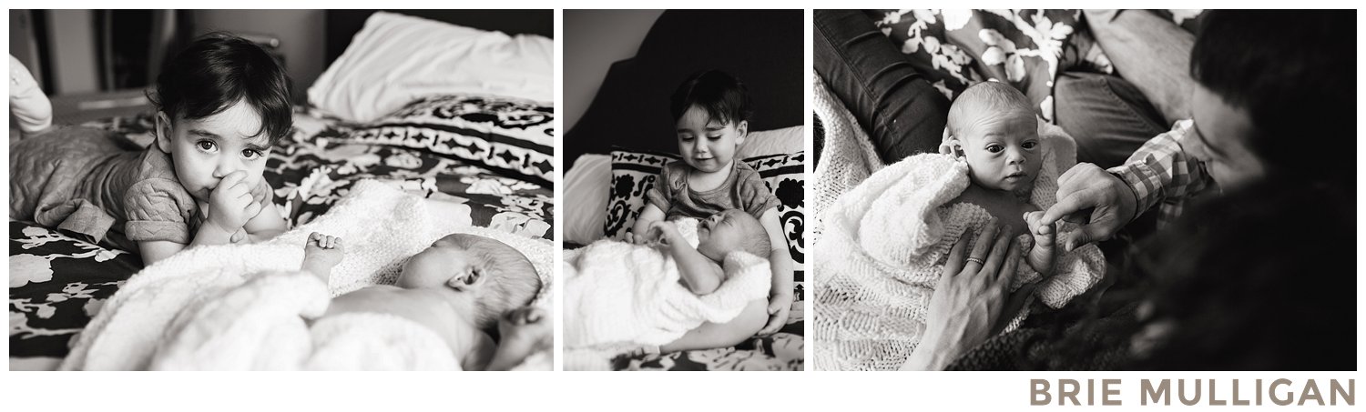Brie-Mulligan-Family-and-Newborn-Photographer-Montclair-New-Jersey-Northern-NJ-Essex-County-and-NYC_0162.jpg