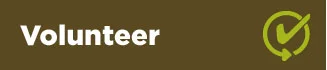 Volunteer.jpeg