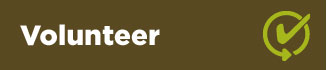 Volunteer.jpeg