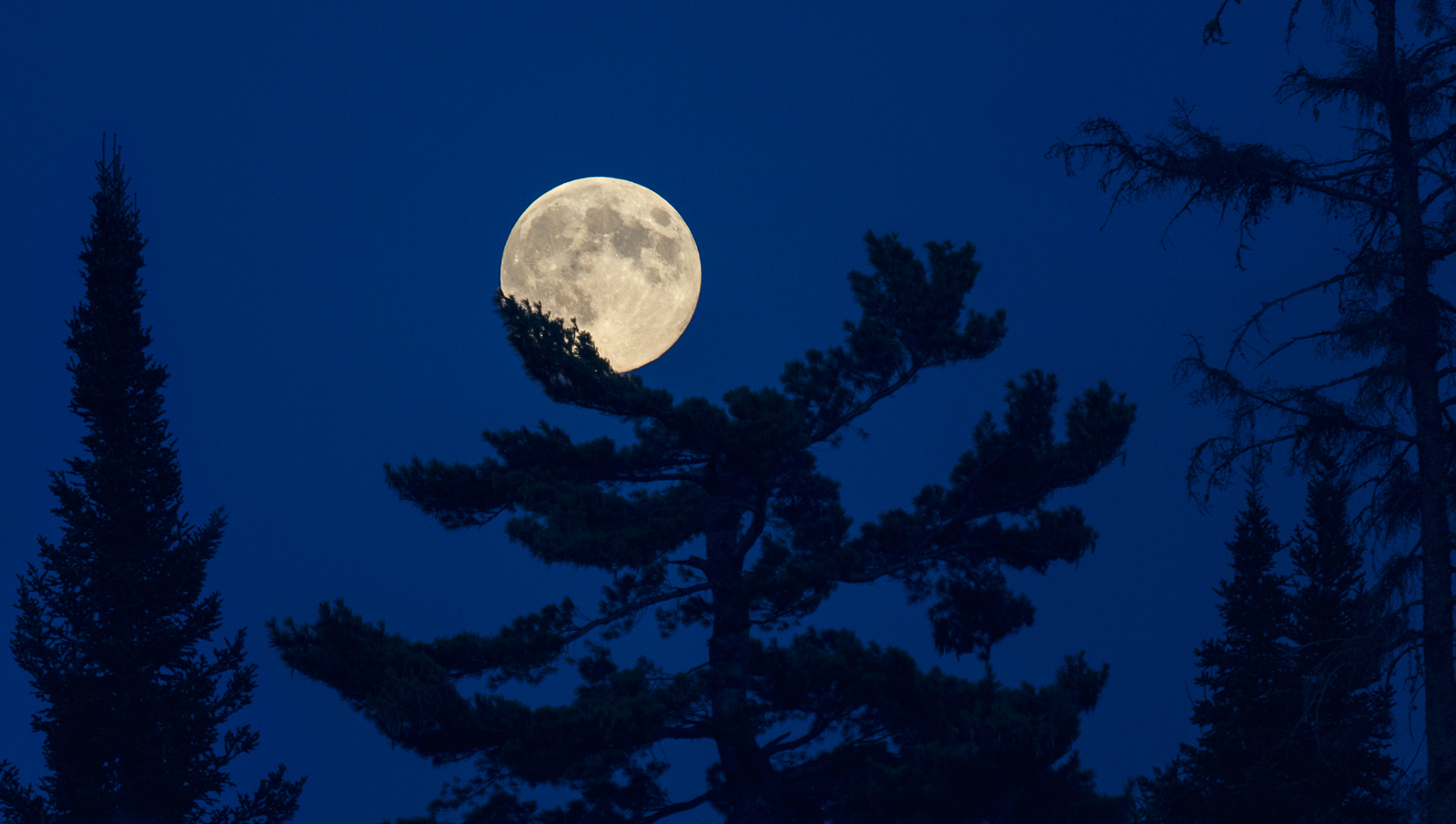 Moon04.jpg
