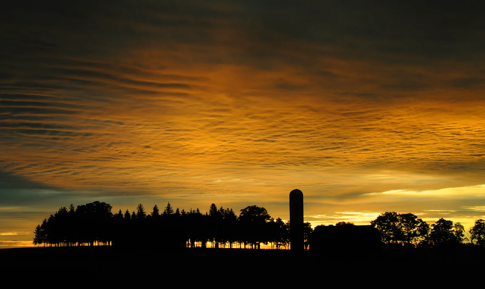 DSC_1180.jpg