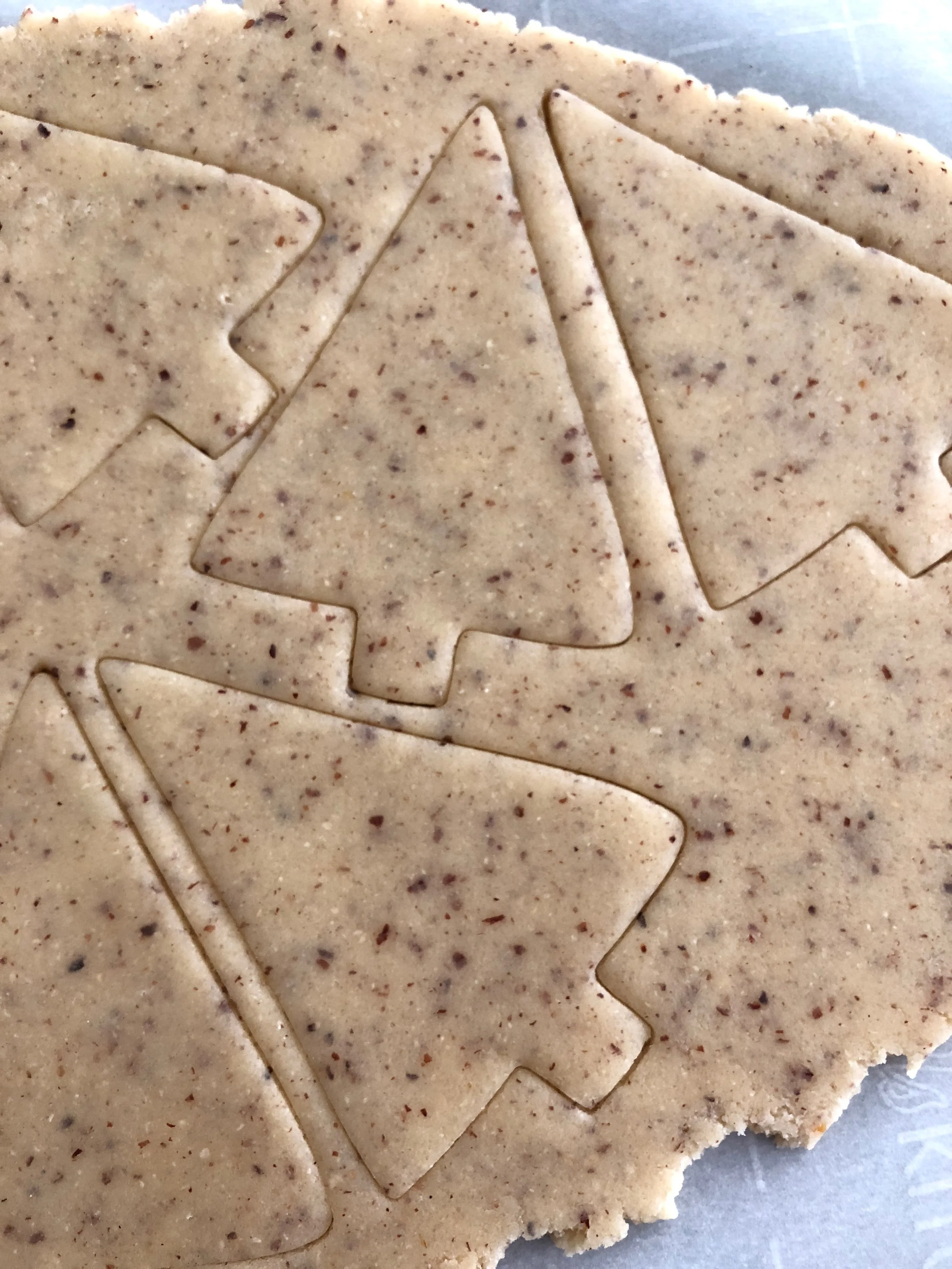 The hazelnut flour adds these nice flecks of color and texture to the cookies