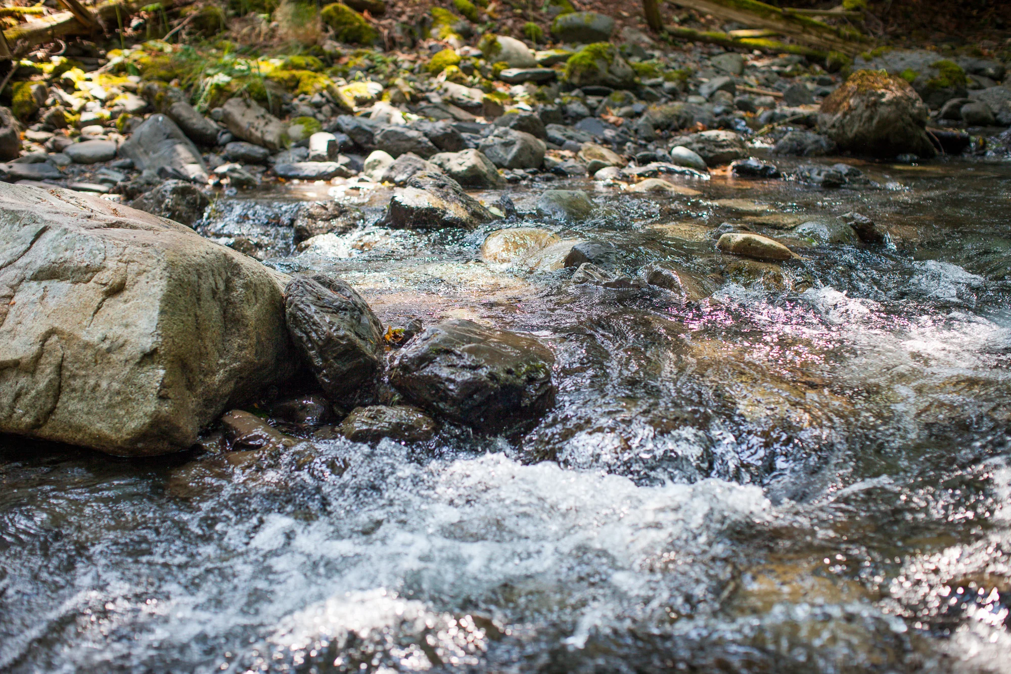 CreeksideMills-4932.jpg