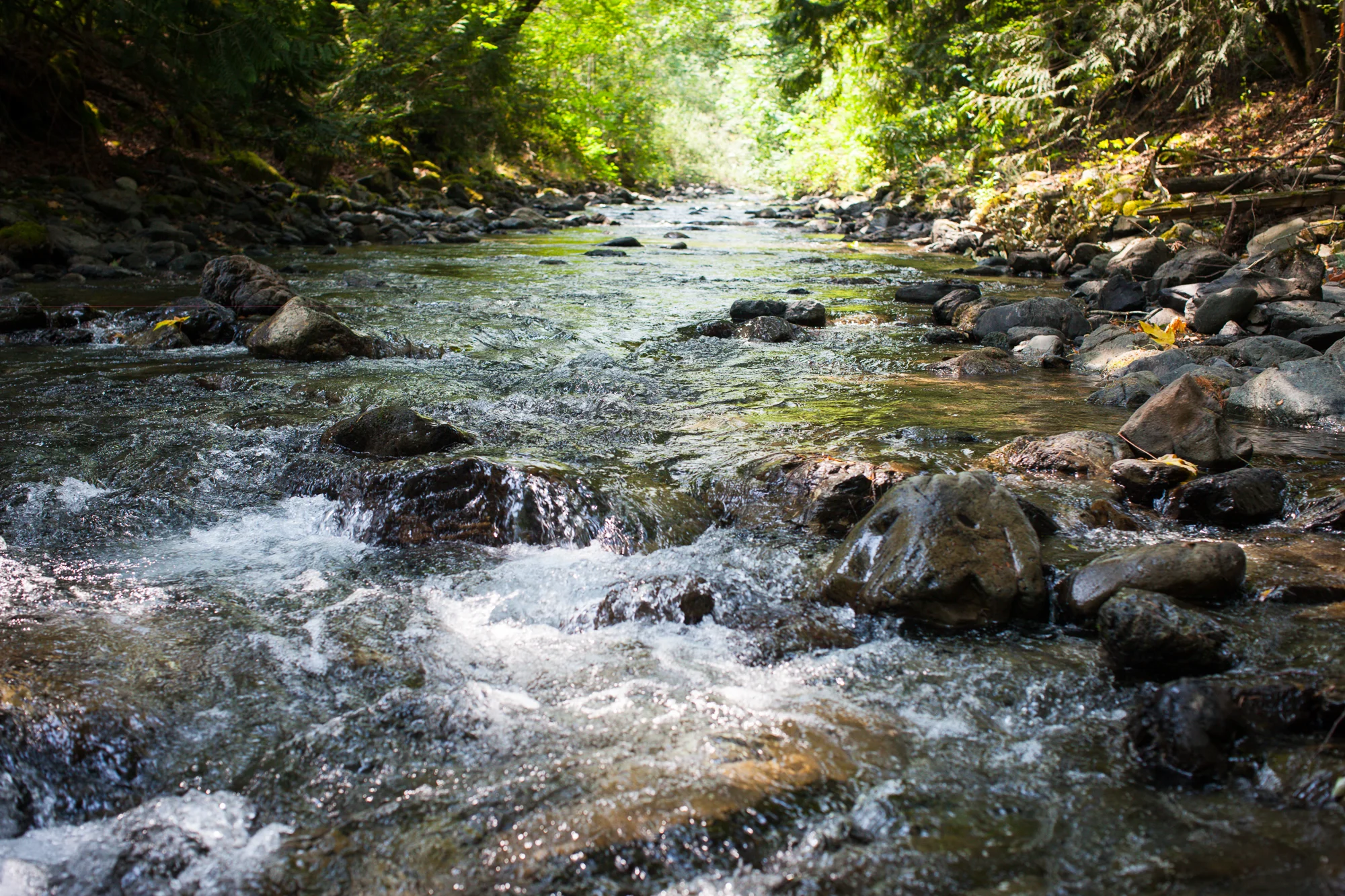 CreeksideMills-4944.jpg