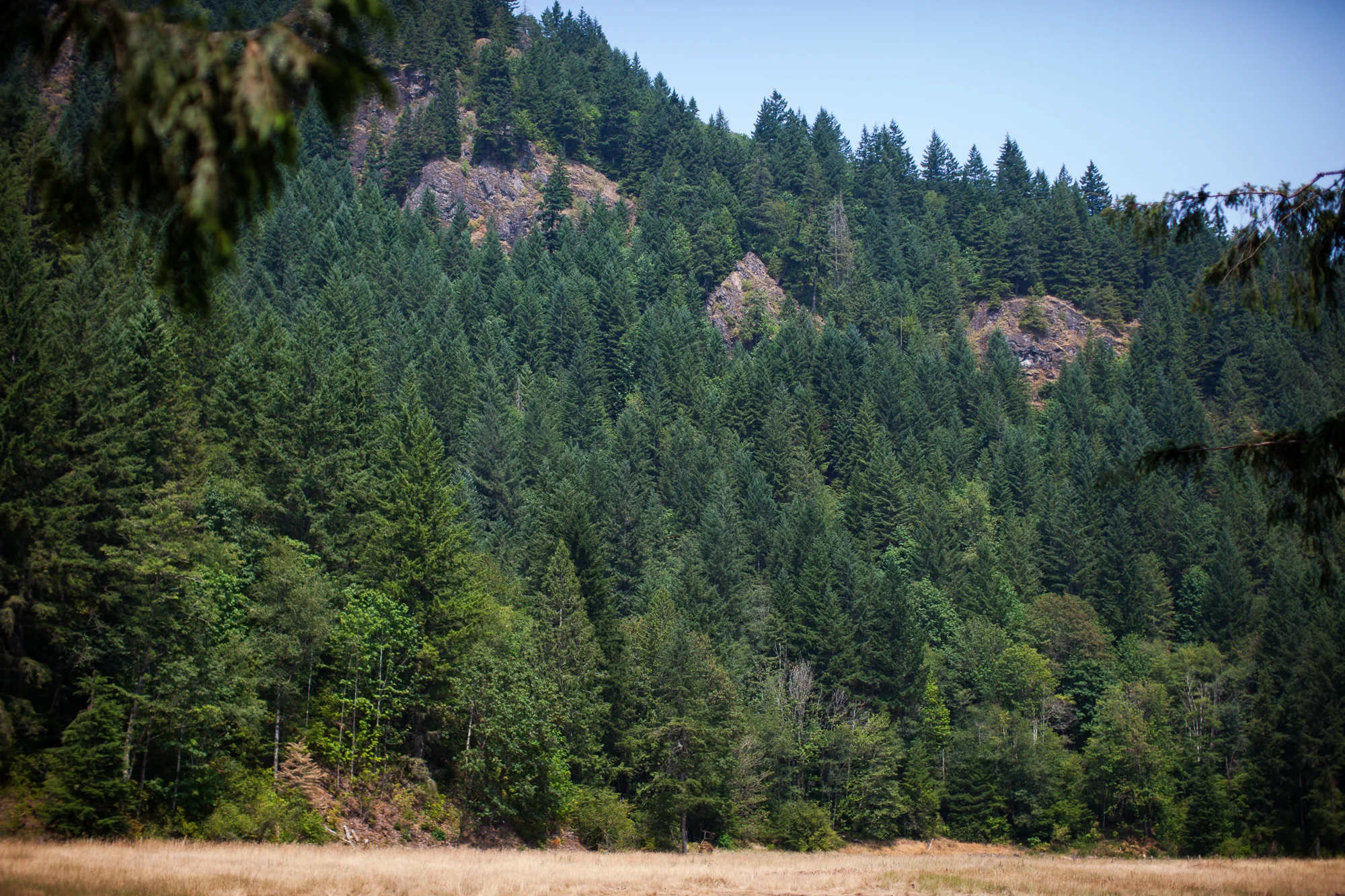 CreeksideMills-4971.jpg