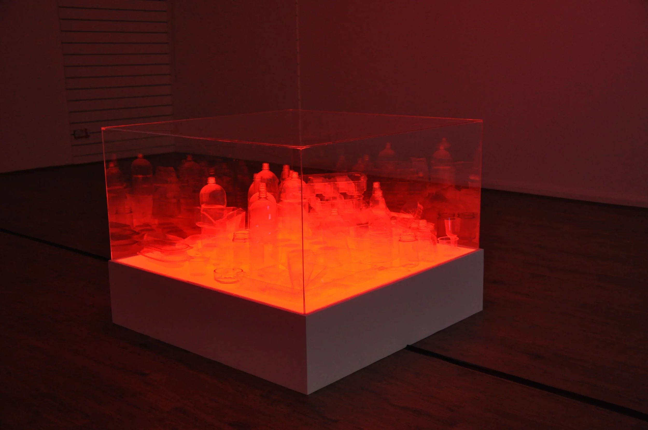 Liz West, Consumed - 8.JPG
