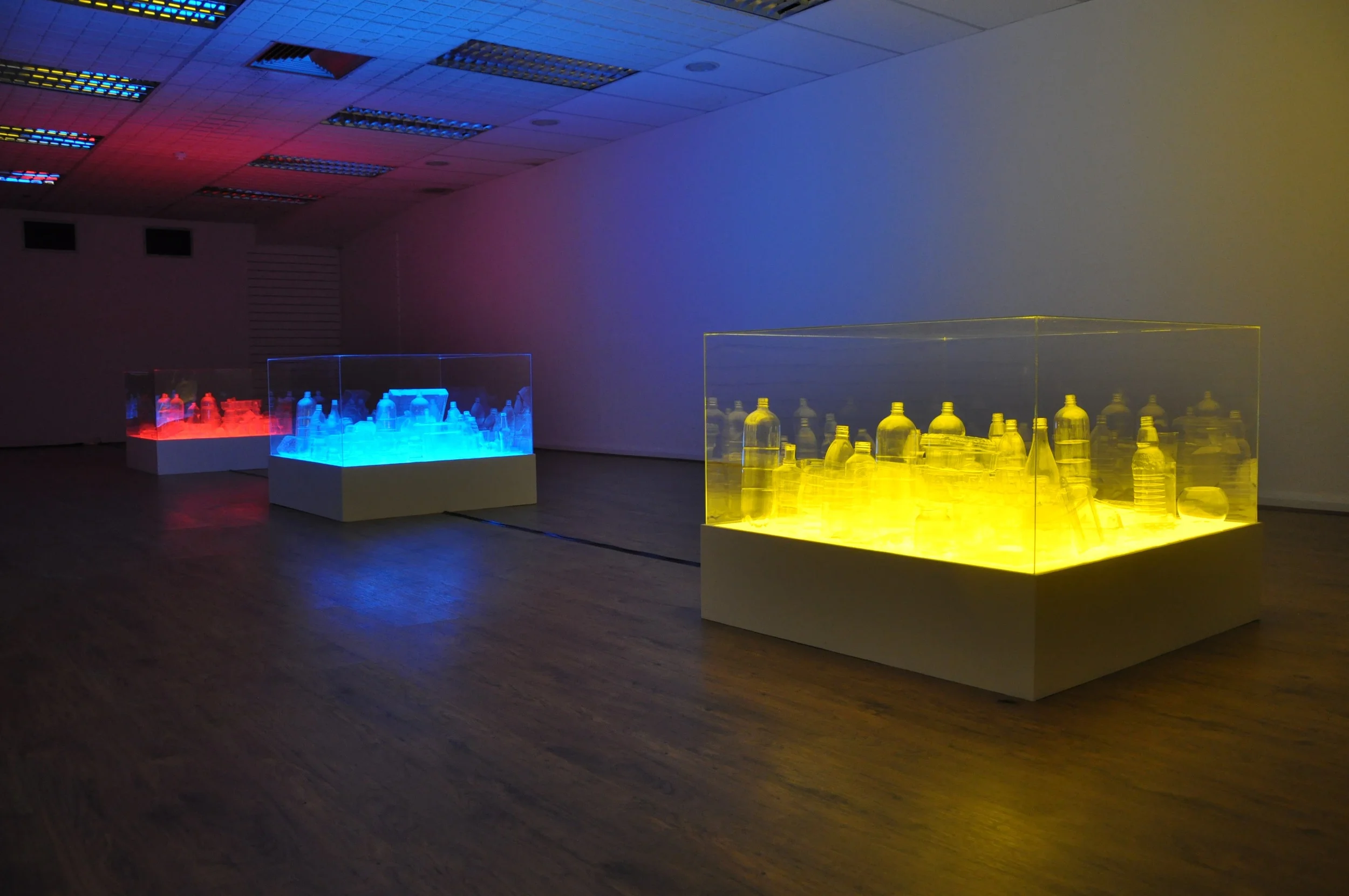 Liz West, Consumed - 14.JPG