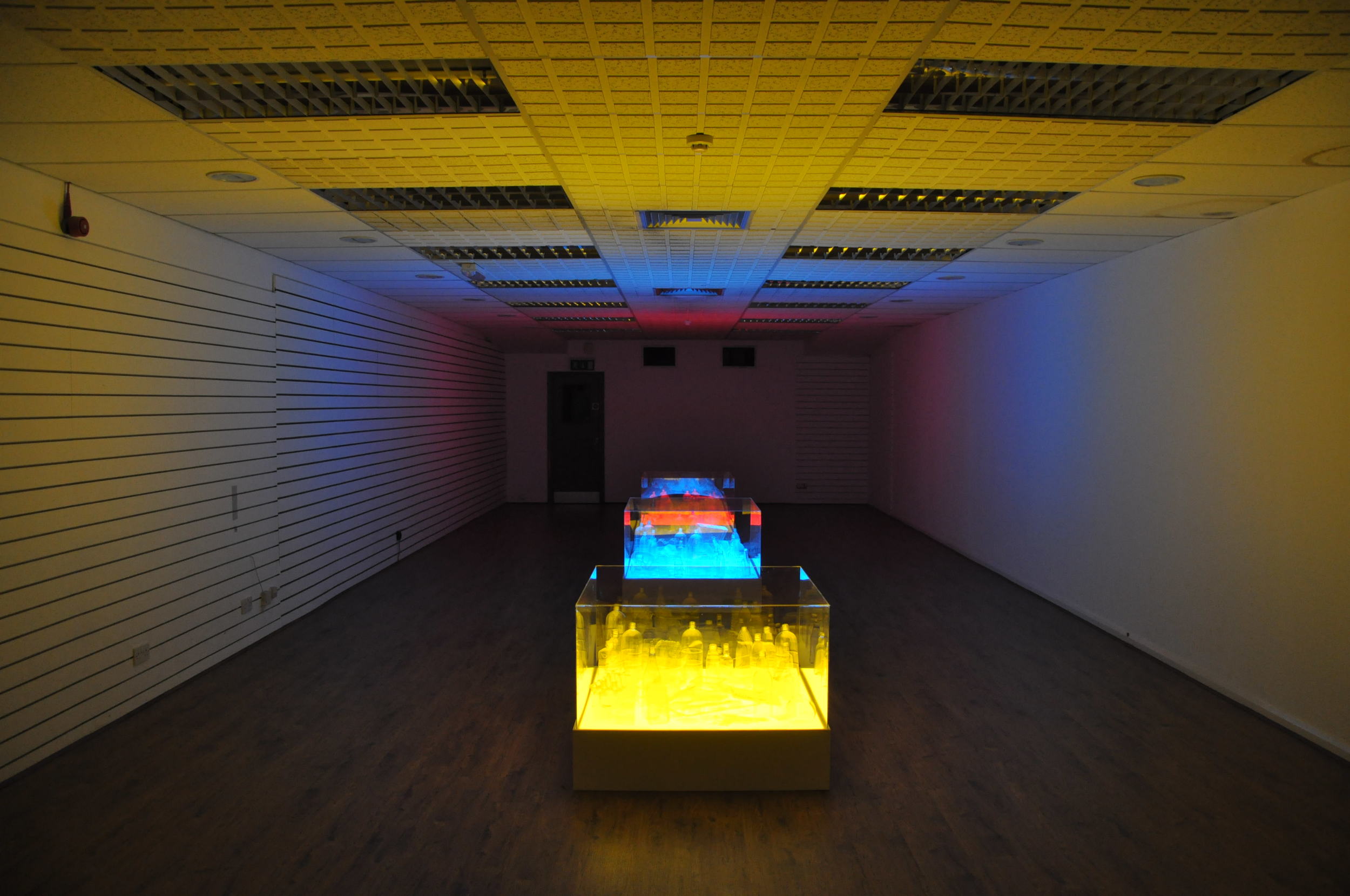 Liz West, Consumed - 2.JPG