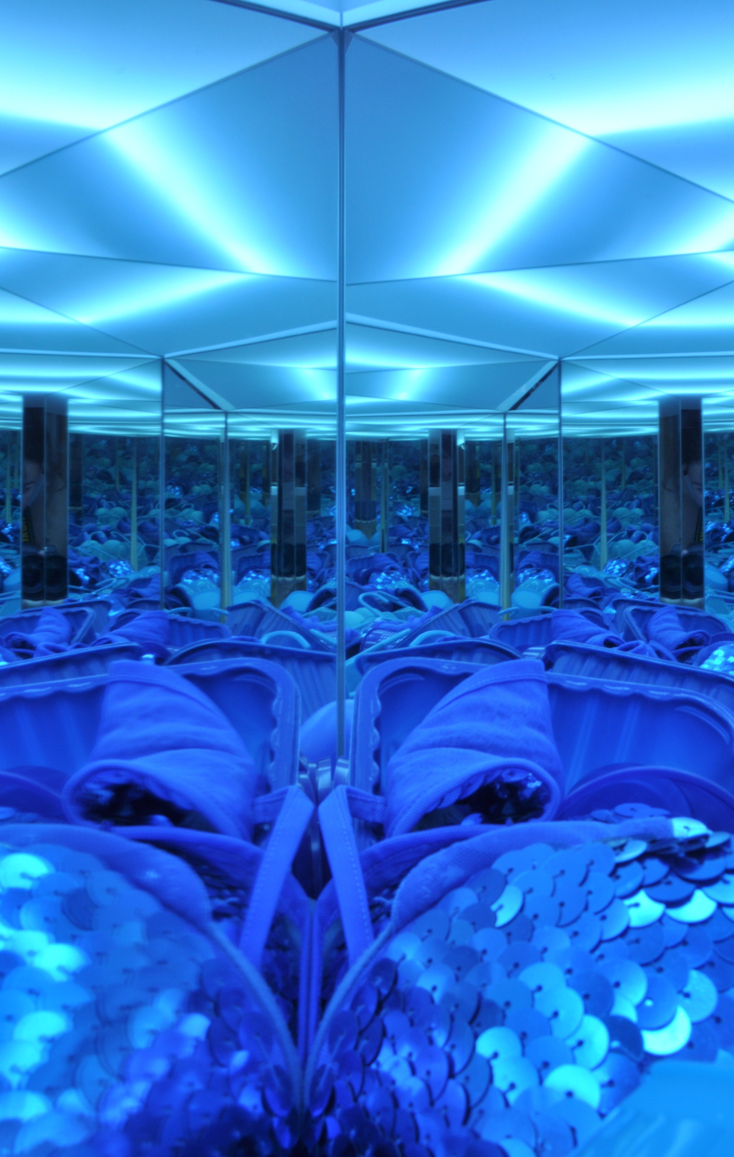 Blue Chamber (internal View), Mixed Media Installation, 2010 -2.JPG