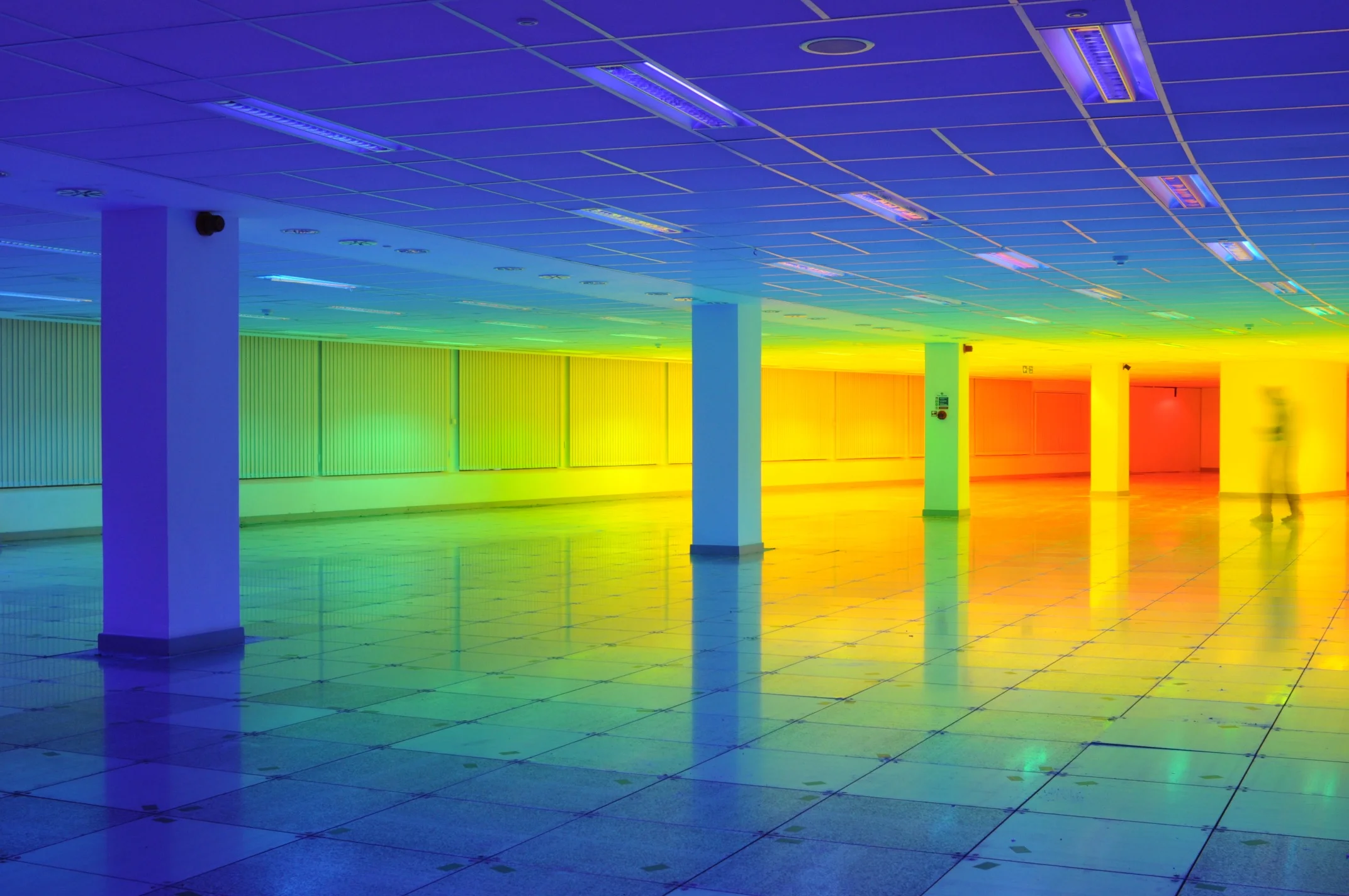 3. Liz West, Our Colour, 2016. Image courtesy of the artist.jpg