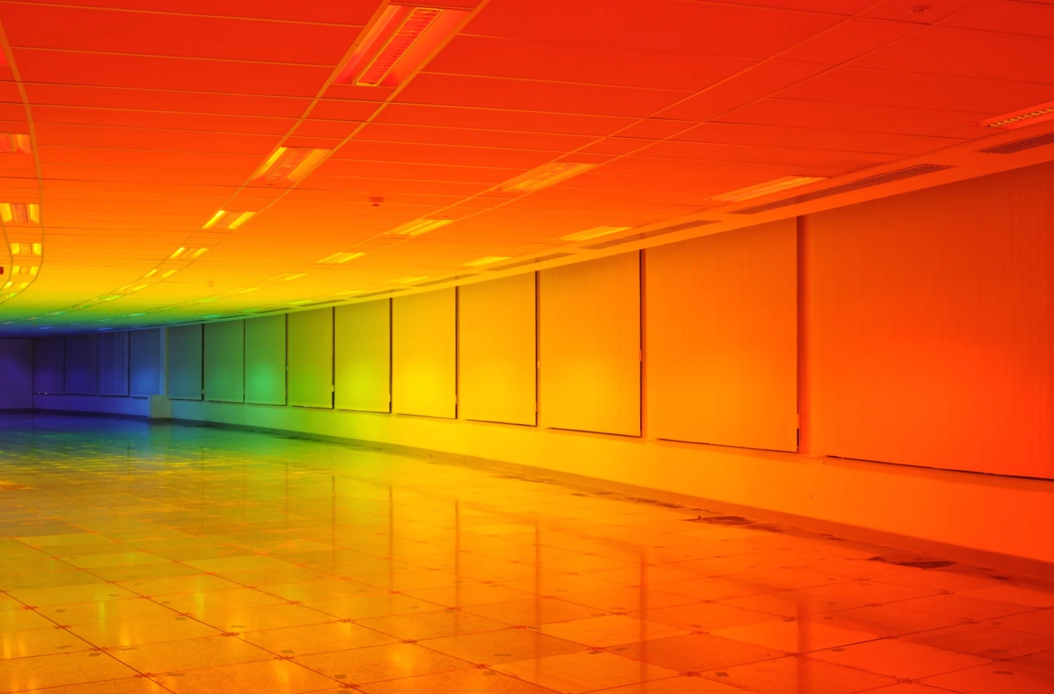 8. Liz West, Our Colour, 2016. Image courtesy of the artist.jpg