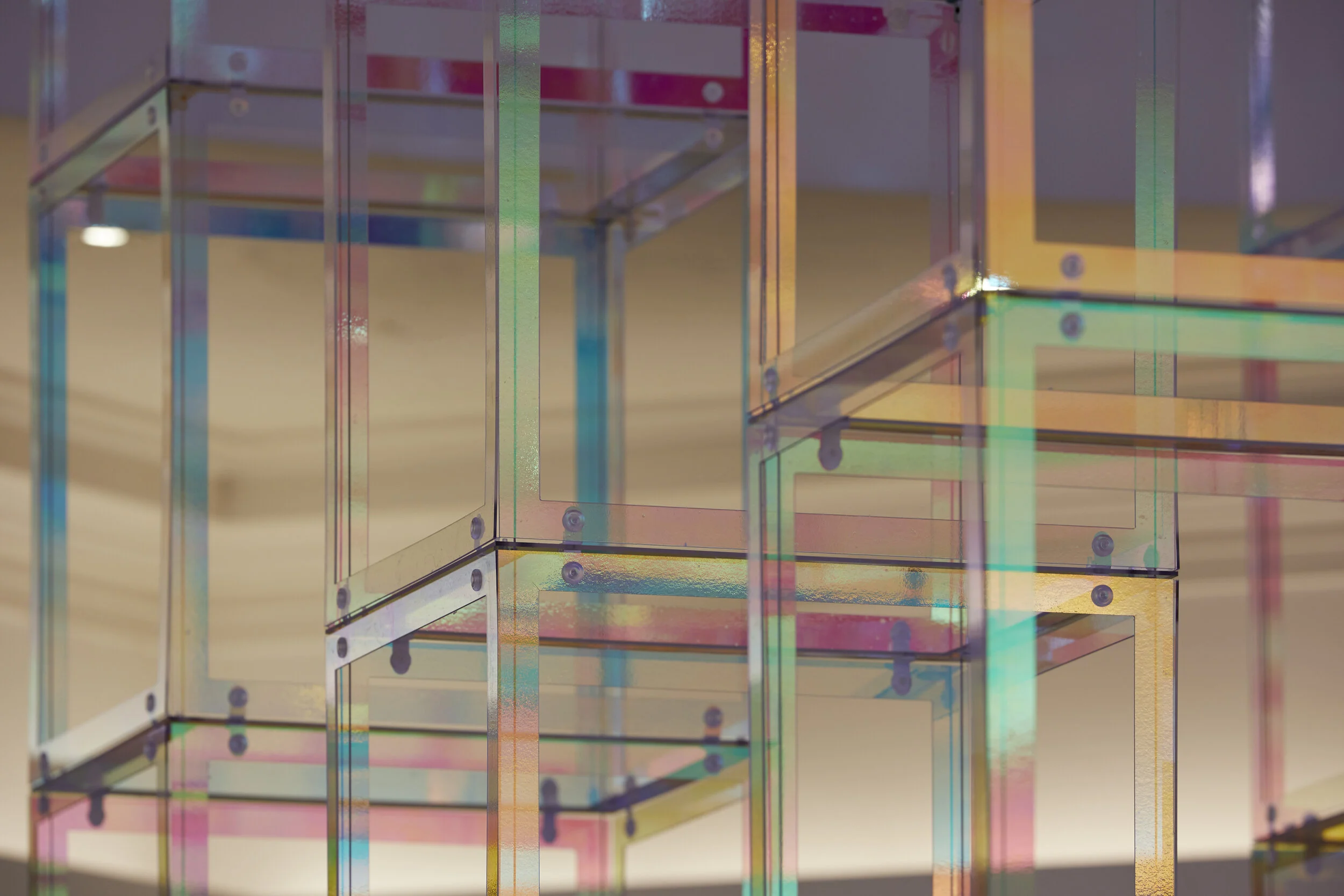LizWest_IriDescent_17_Credit @studiostagg.jpg