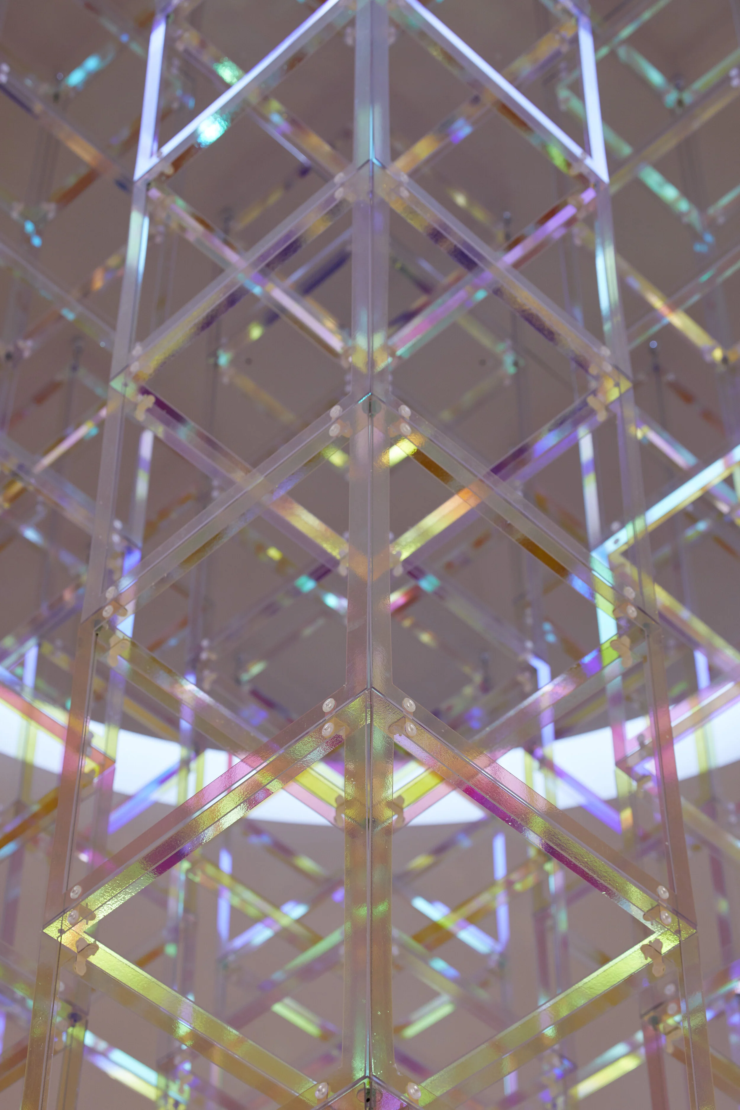 LizWest_IriDescent_19_Credit @studiostagg.jpg