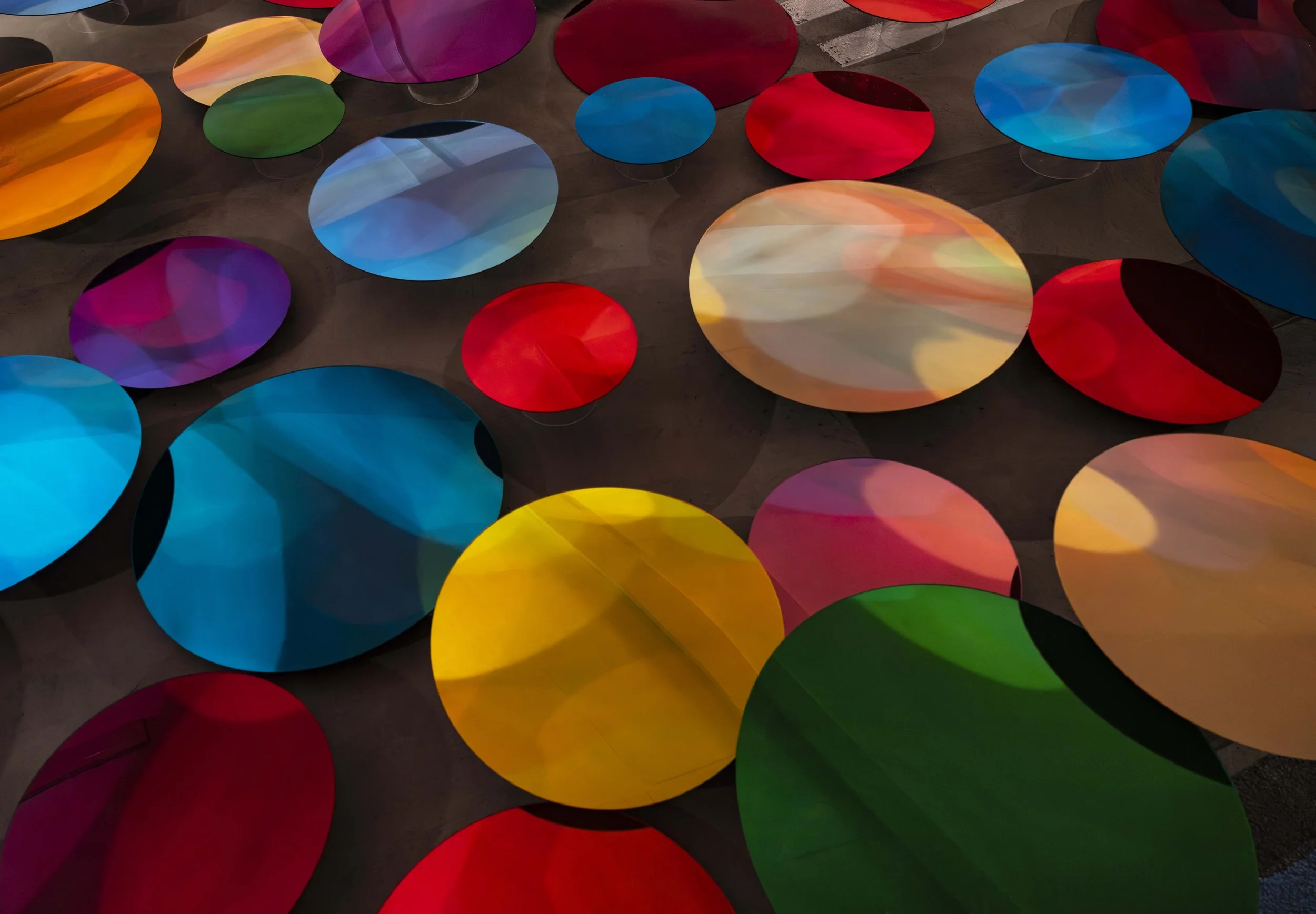 LO RES-LIZ WEST-OUR COLOUR-BRISTOL-FEB2026-8986.jpg