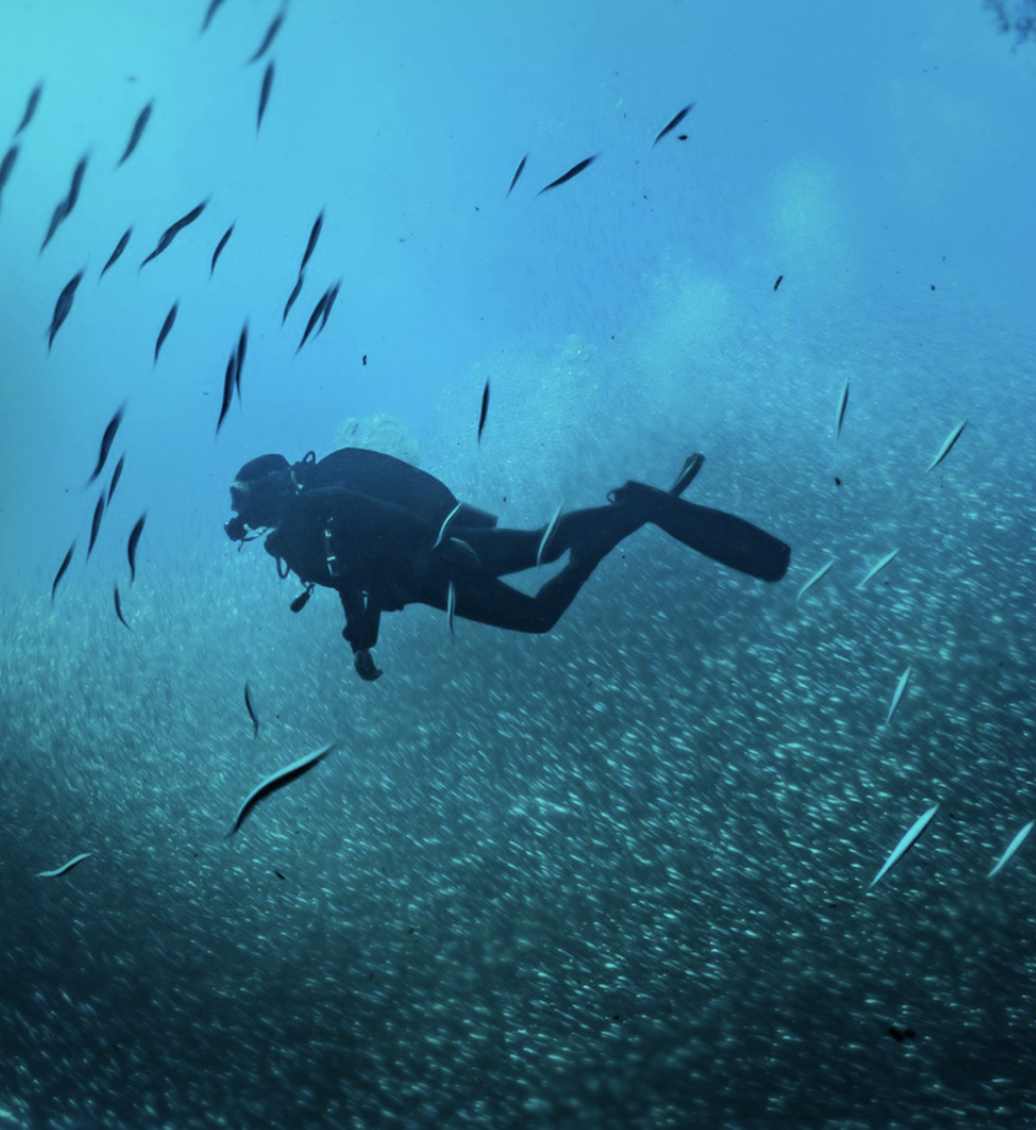 Captura de Pantalla 2023-05-23 a las 11.51.26.png