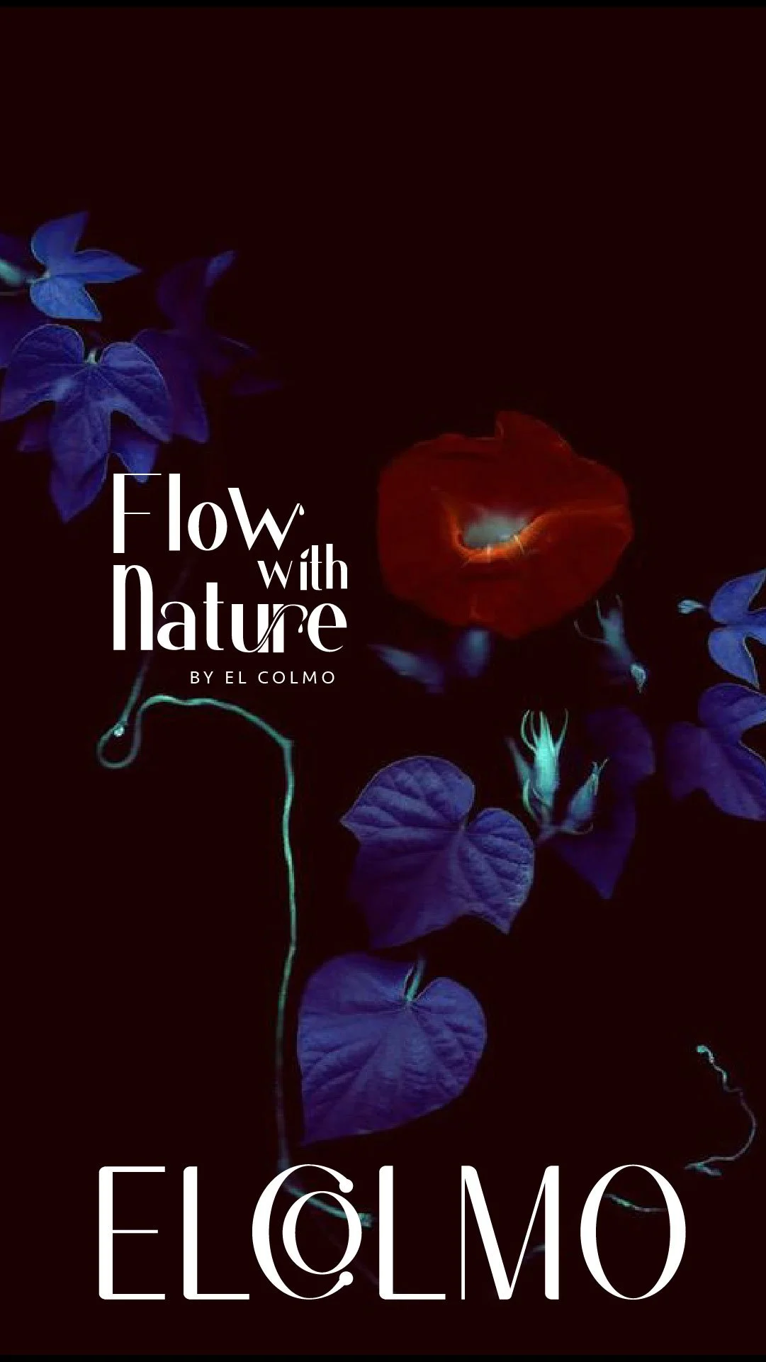 FLOW-16.jpg