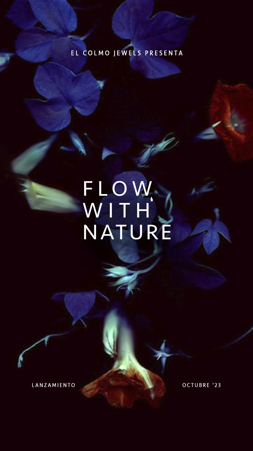 flow 3.jpg
