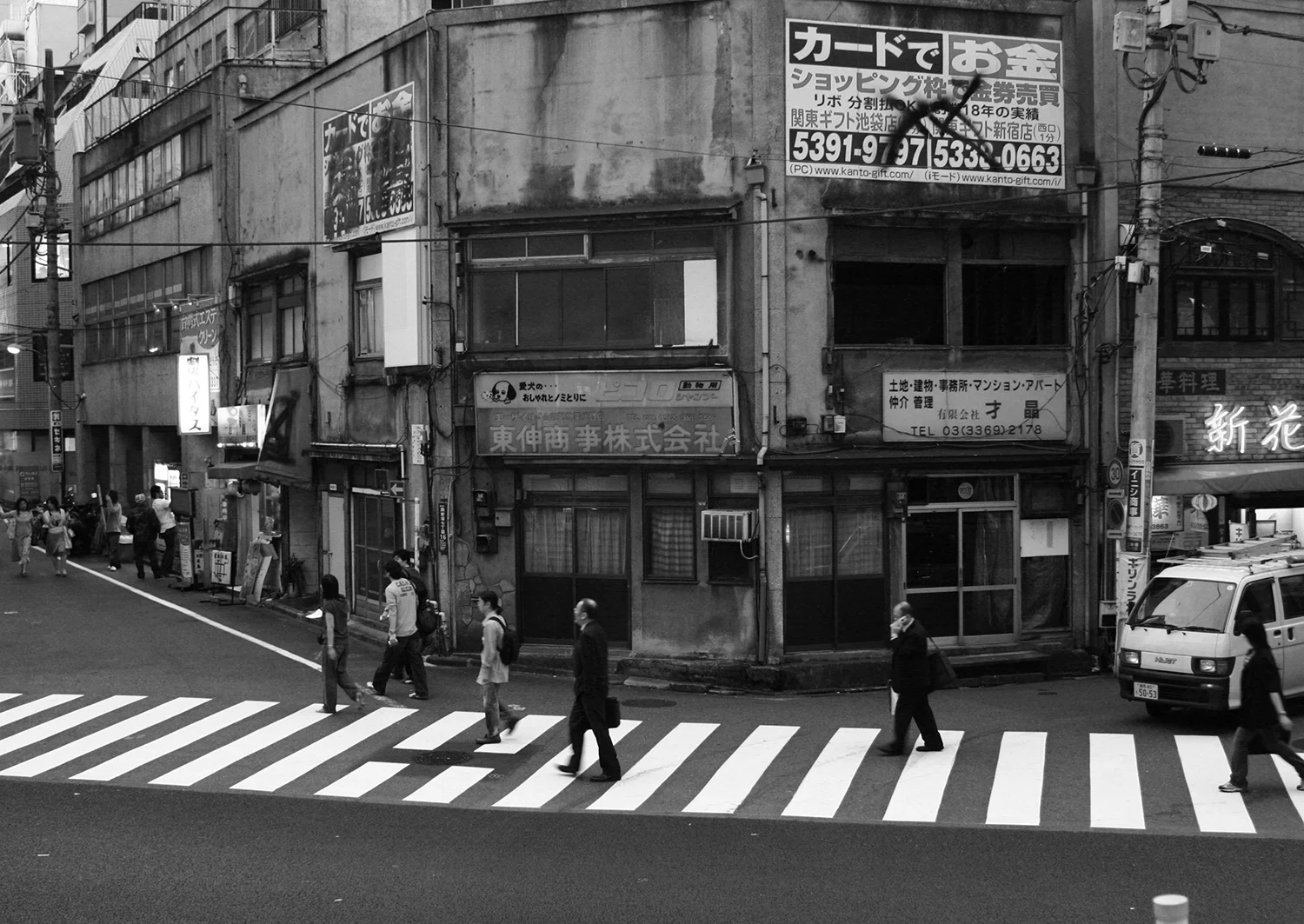 猫のつめとぎ "Sharpening of a Cat's Claw" 2017 #01