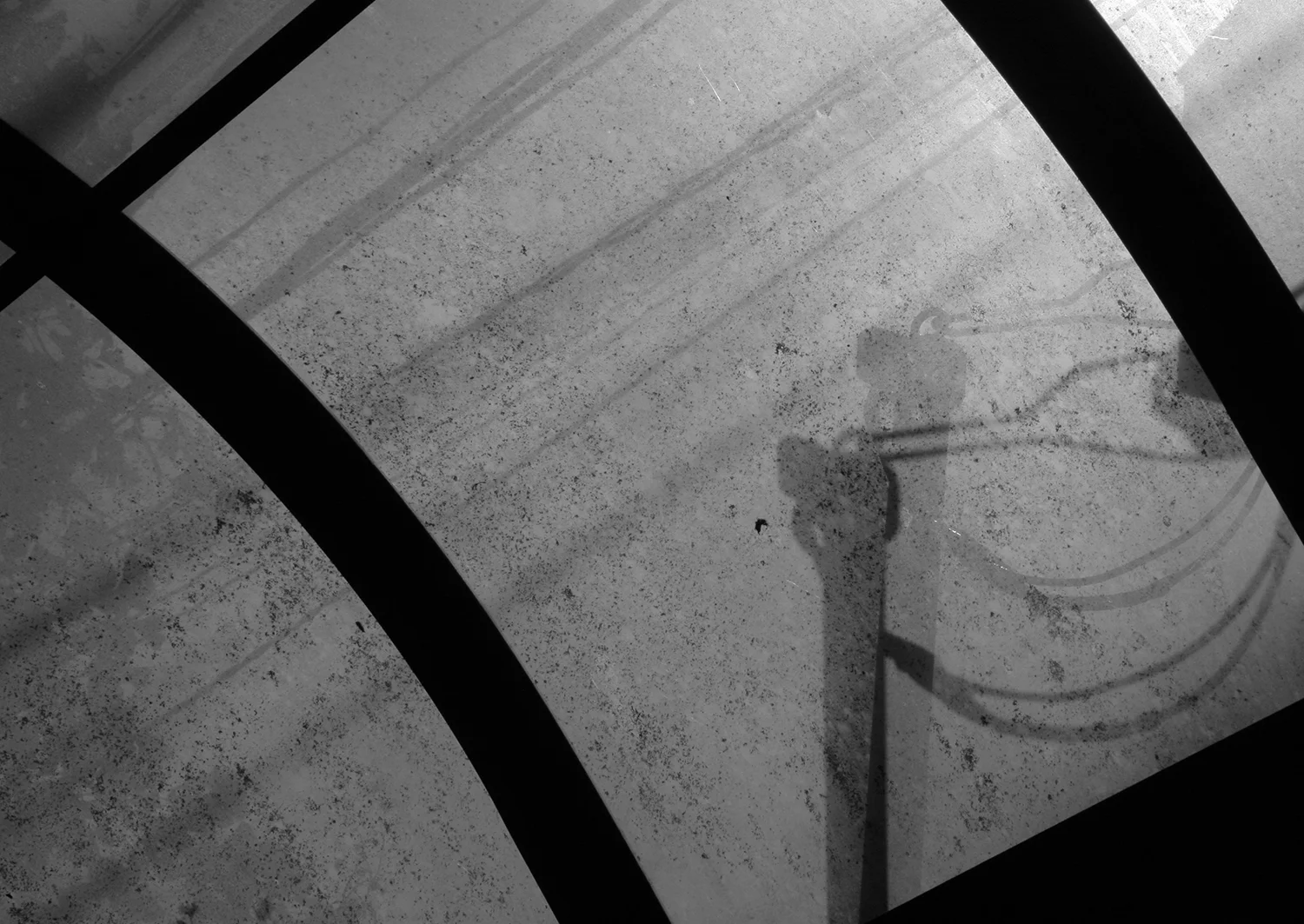 猫のつめとぎ "Sharpening of a Cat's Claw" 2017 #03