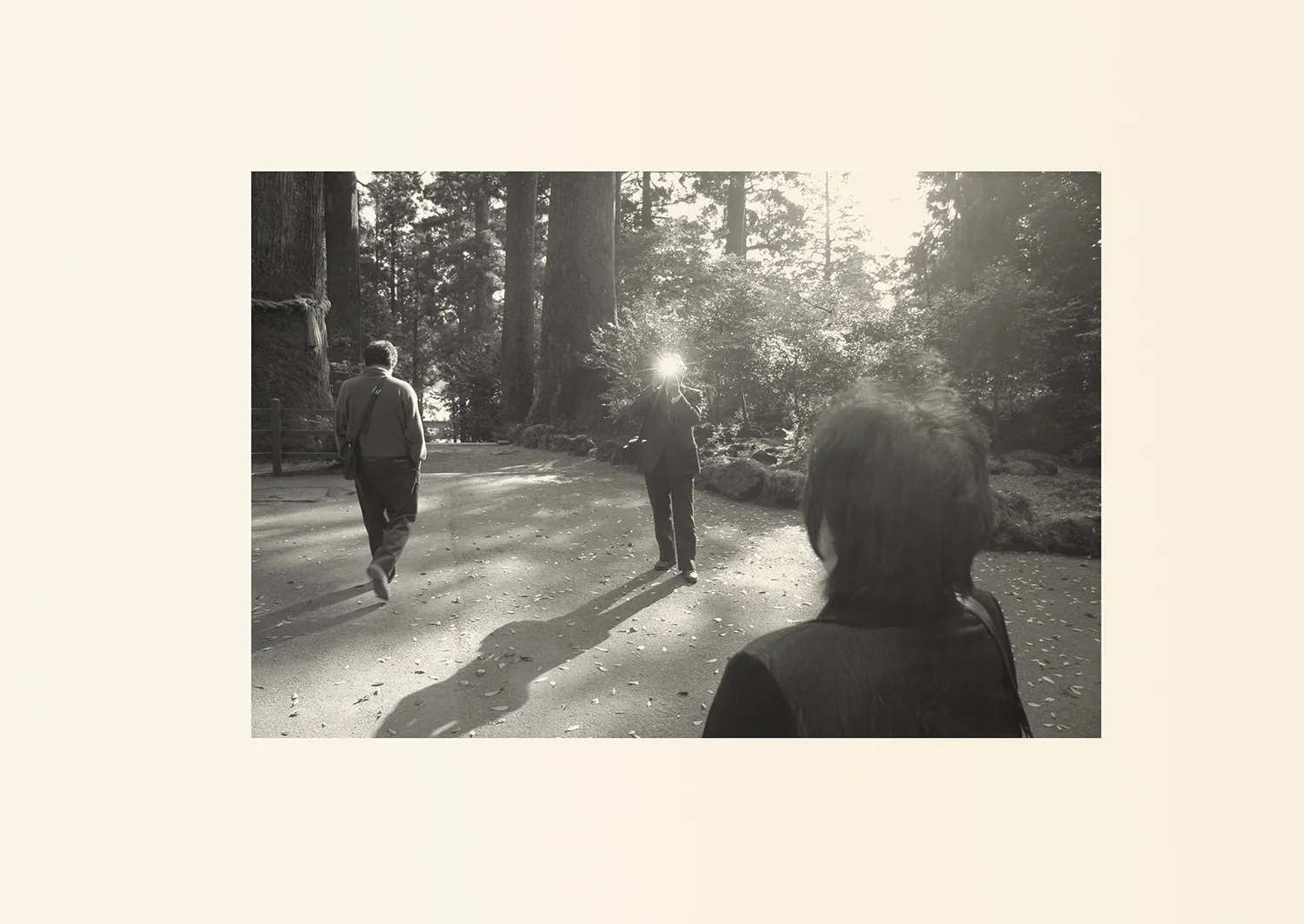 猫のつめとぎ "Sharpening of a Cat's Claw" 2017 #05