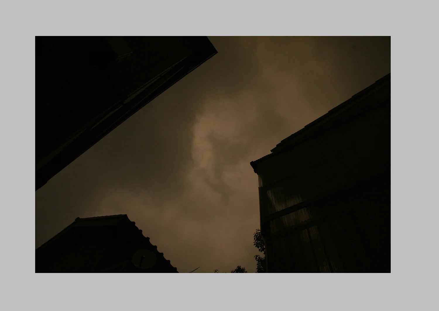 猫のつめとぎ "Sharpening of a Cat's Claw" 2017 #07