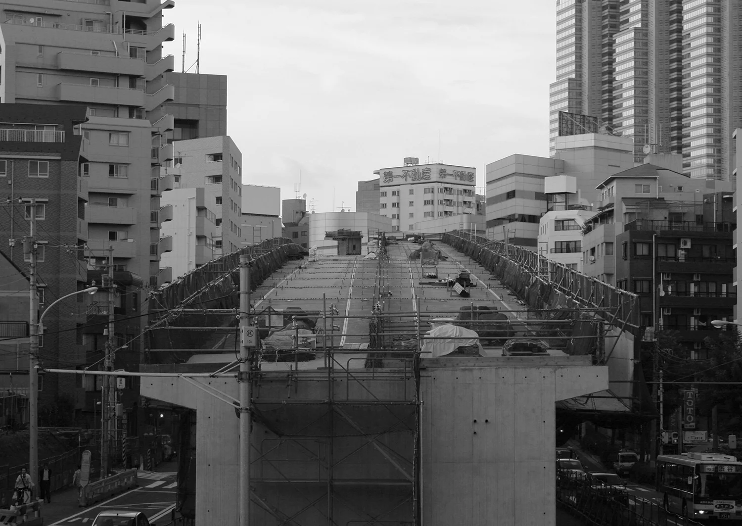 猫のつめとぎ "Sharpening of a Cat's Claw" 2017 #08