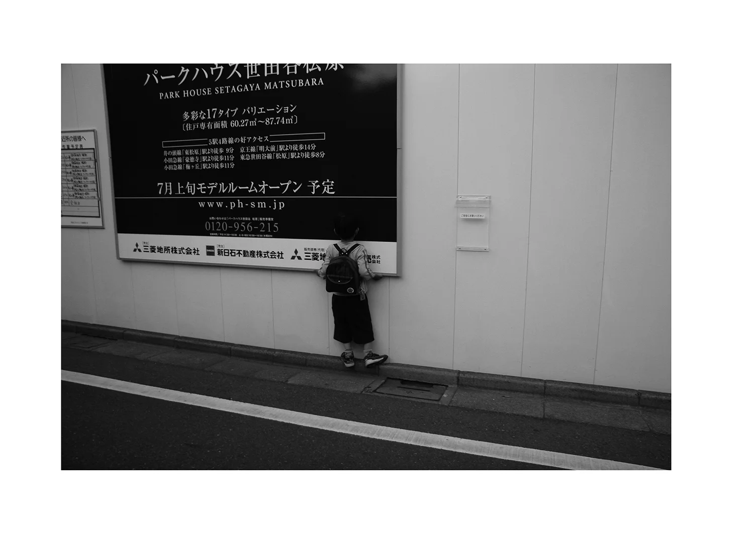 猫のつめとぎ "Sharpening of a Cat's Claw" 2017 #12