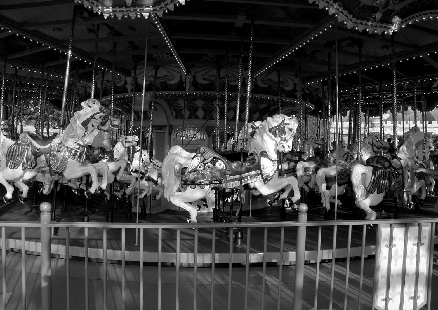 猫のつめとぎ "Sharpening of a Cat's Claw" 2017 #11