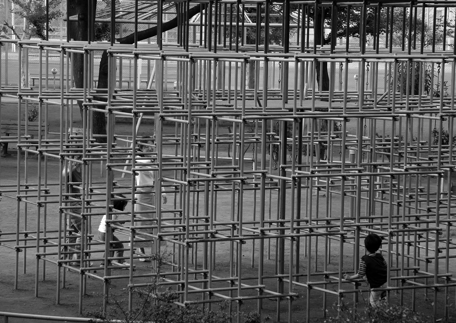 猫のつめとぎ "Sharpening of a Cat's Claw" 2017 #13